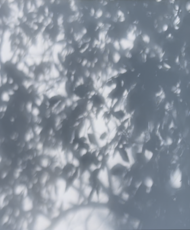 Charys Wilson – Half Light